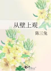 从壁上观