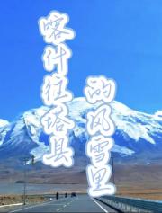 喀什往塔县的风雪里