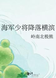 海军少将降落横滨