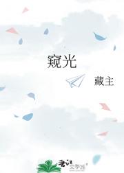 窥光