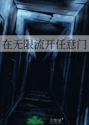在无限流开任意门