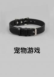 宠物游戏