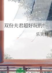 双份夫君超好玩的！