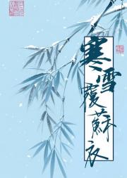 寒雪覆苏衣