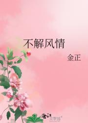 不解风情