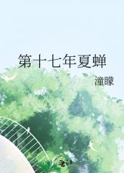 第十七年夏蝉