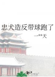 忠犬造反带球跑了