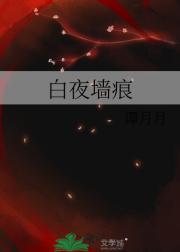 白夜墙痕