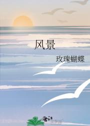 风景