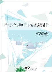 当训狗手册遇见狼群