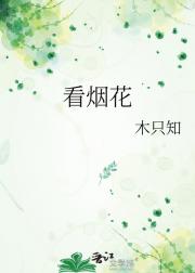 看烟花