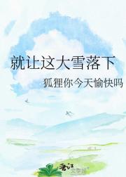 就让这大雪落下