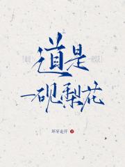 碎玉沉珠
