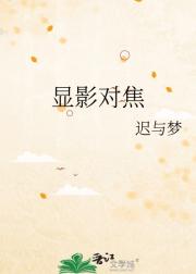 显影对焦