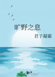 旷野之息