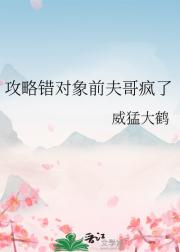 攻略错对象前夫哥疯了