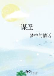 谋圣