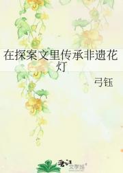 在探案文里传承非遗花灯