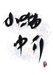 小猫中介，为您服务