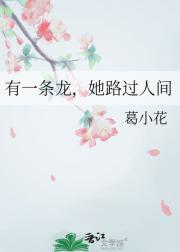 有一条龙，她路过人间