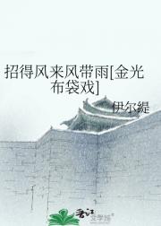 招得风来风带雨[金光布袋戏]