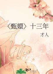 〈甄嬛〉十三年