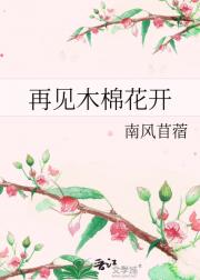 再见木棉花开