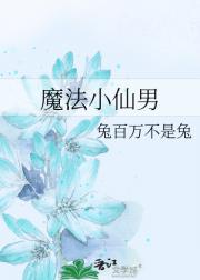 老公我是你的魔法仙男啊