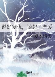傲娇助理很要命