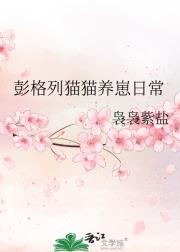 彭格列式猫猫观察日常