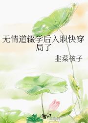 无情道辍学后入职快穿局了