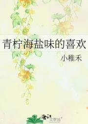 青柠海盐味的喜欢