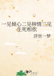 疯子的世界唯有真心不可辜负