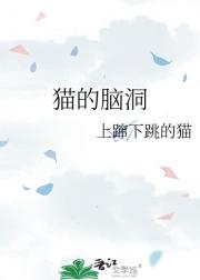 猫的脑洞