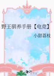 野王驯养手册【电竞】