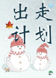出走计划