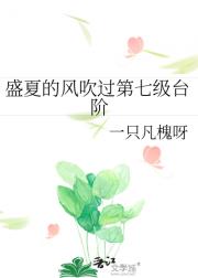 盛夏的风吹过第七级台阶