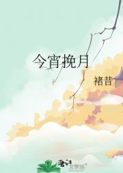 今宵挽月