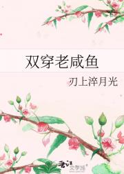 双穿老咸鱼