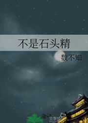 不是石头精