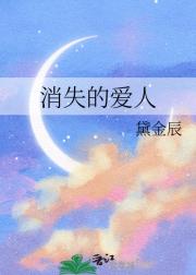 消失的爱人