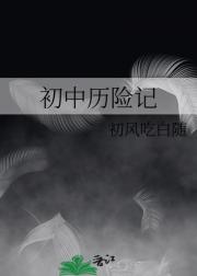 初中历险记