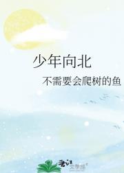 少年向北