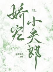 娇宠小夫郎