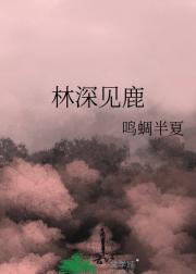 林深见鹿