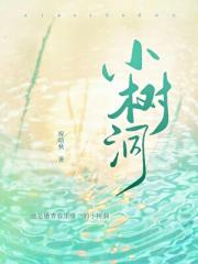 小树洞