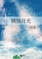 锈蚀月光