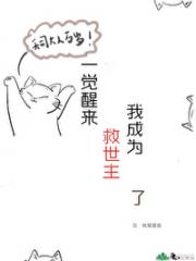 猫猫界天司