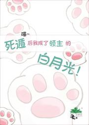 死遁后我成了领主的白月光