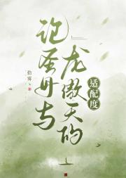 论圣母与龙傲天的适配度